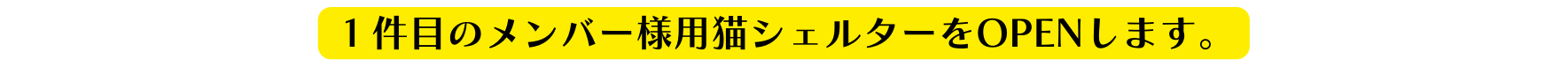 １件目のメンバー様用猫シェルターをOPENします